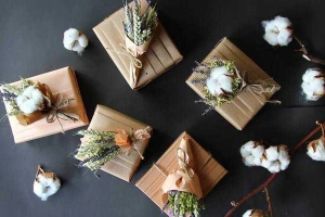 38 Degree Flowers - Hồng Bàng