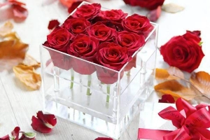 38 Degree Flowers - Quang Trung