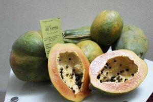 3G Farm - Thực Phẩm An Toàn - Shop Online