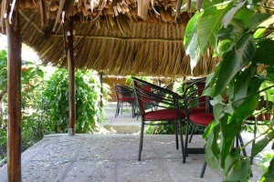 42 Sân Vườn Cafe