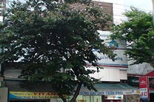 Vietinbank - PGD Trần Phú