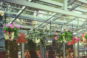 Alice Cafe - Cafe Hồ Bơi