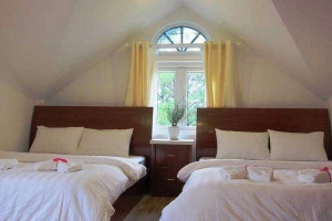 Alice Homestay