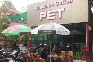 Amazon - Coffee Pet