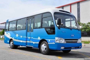 Ami Tour - Dịch Vụ Du Lịch & Thuê Xe Ô Tô