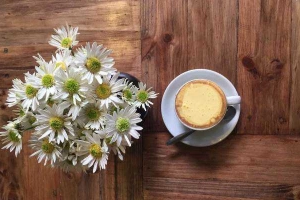 An Cafe - Vạn Phúc