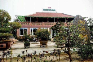 An Cựu Đông Cafe - Cafe Cây Cảnh
