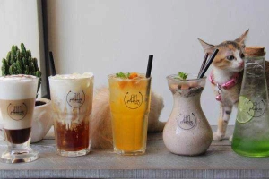 An Phụng Cafe