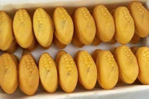 Ăn vặt Bánh Delimanjoo - Ỷ Lan