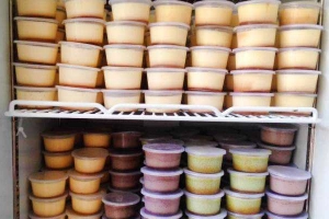 Ăn vặt Bánh Flan Nhà Thiếu Nhi Gò Vấp