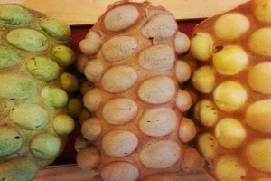 Ăn vặt Bánh Trứng HongKong - Đường S11