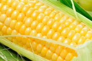 Ăn vặt Bắp Nấu Sữa Tươi