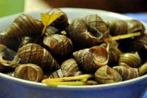 Ăn vặt Biệt Thự Ốc