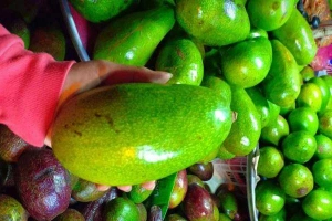 Ăn vặt Bơ Sáp Chú Được