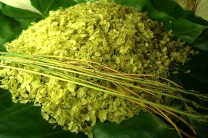 Ăn vặt Cốm - Xuân Thủy