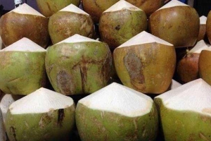 Ăn vặt Dừa Xiêm Bến Tre - Mạc Thị Bưởi