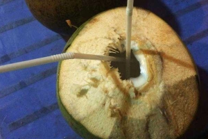 Ăn vặt Dừa Xiêm Bến Tre