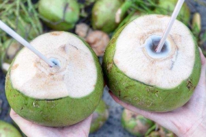 Ăn vặt Dừa Xiêm & Rau Câu Trái Dừa
