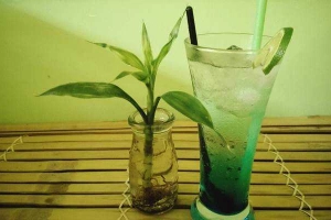 Ăn vặt Fancy - Sinh Tố & Soda