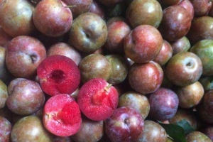 Ăn Vặt Hà Nội - Shop Online