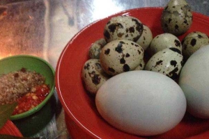 Ăn vặt Hột Vịt Lộn - Phạm Văn Hai