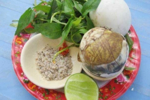 Ăn vặt Hột Vịt Lộn & Trứng Cút Lộn