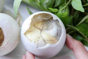 Ăn vặt Nghêu, Sò, Ốc & Hột Vịt Lộn
