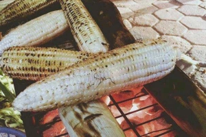 Ăn vặt Ngô Nướng Thành Vinh