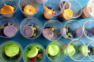 Ăn vặt Như Ý Milk Tea