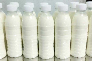 Ăn vặt Nonglam Milk - Sữa Bò Tươi Thuần Khiết