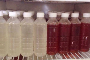 Ăn vặt Nước Sâm Rong Biển Robi's