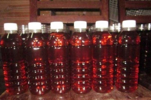 Ăn vặt Nước Sâm, Trà Sữa & Trà Vải