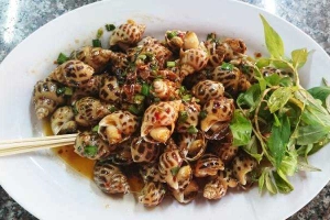 Ăn vặt Ốc 20k - Cô Giang
