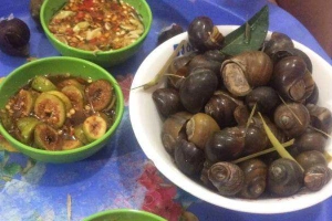 Ăn vặt Ốc 66 - Yên Phụ