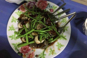 Ăn vặt Ốc Bình