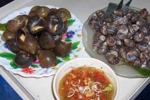 Ăn vặt Ốc Huê - Nguyễn Tư Giản