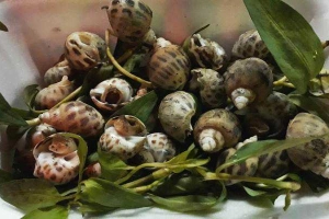 Ăn vặt Ốc Nè