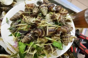 Ăn vặt Ốc Tài Chính