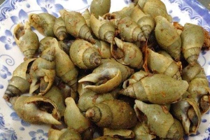 Ăn vặt Ốc Thủy Tiên - Đoàn Văn Bơ