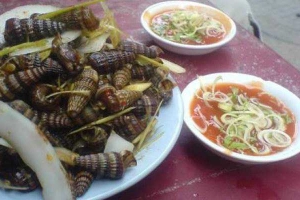 Ăn vặt Ốc Xứ Thanh