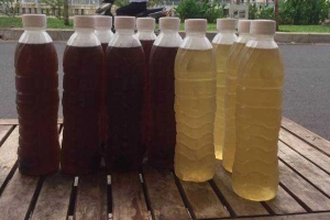 Ăn vặt Phi Yến - Nước Sâm & Rau Má