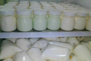 Ăn vặt Quán Hai Cù Nèo - Yaourt & Trứng Gà Lòng Đào