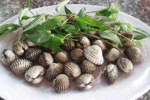 Ăn vặt Quán Ốc Đêm Bình Dân