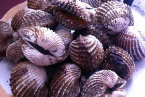 Ăn vặt Quán Ốc - Ngã Tư Tổng Hợp
