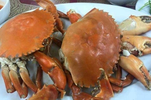 Ăn vặt Quán Yến Khanh -  Bãi Tắm Minh Châu