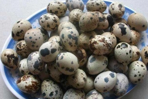 Ăn vặt Quán Yến - Trứng Cút Lộn, Chè & Sinh Tố
