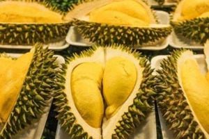 Ăn vặt Sầu Riêng Quy Nhơn - Tăng Bạt Hổ