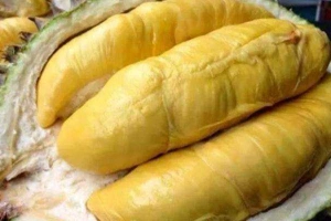 Ăn vặt Sầu Riêng Quy Nhơn