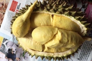 Ăn vặt Sauriengquynhon