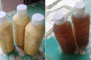 Ăn vặt Sữa Bí Đỏ, Hạt Sen & Sâm Rong Biển